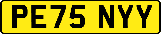PE75NYY