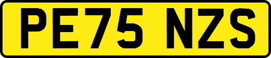 PE75NZS