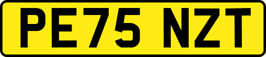PE75NZT