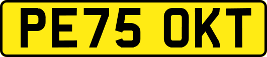 PE75OKT