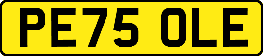 PE75OLE
