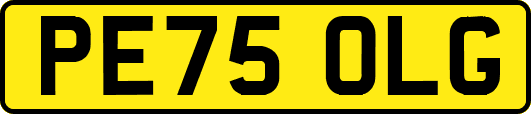 PE75OLG
