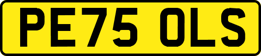 PE75OLS