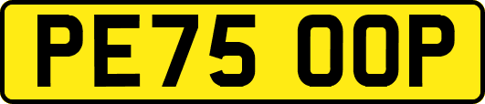 PE75OOP