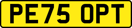 PE75OPT