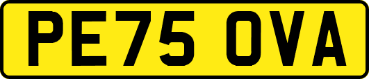 PE75OVA