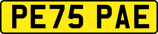 PE75PAE