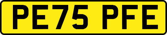 PE75PFE