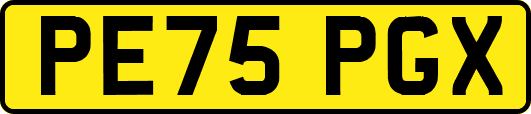PE75PGX