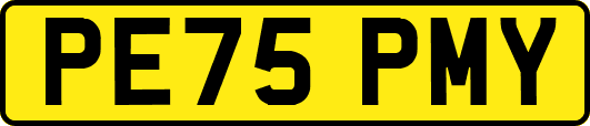 PE75PMY