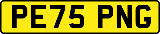 PE75PNG