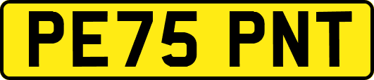 PE75PNT