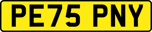 PE75PNY