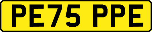 PE75PPE