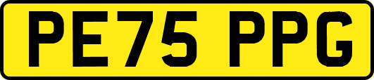 PE75PPG