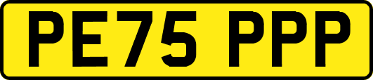 PE75PPP