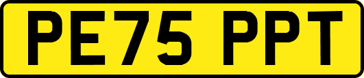 PE75PPT