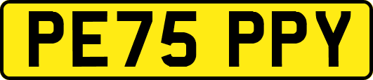 PE75PPY