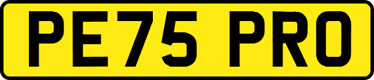 PE75PRO