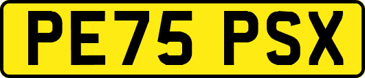 PE75PSX