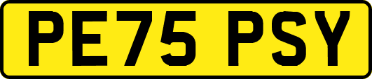 PE75PSY