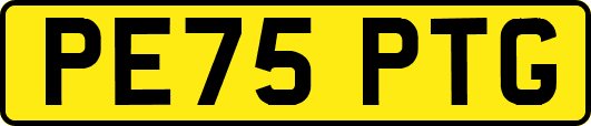 PE75PTG