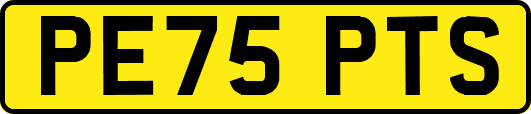 PE75PTS