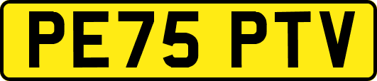 PE75PTV