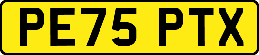 PE75PTX