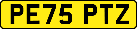 PE75PTZ