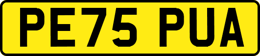 PE75PUA