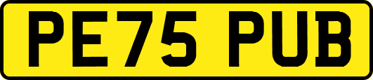PE75PUB
