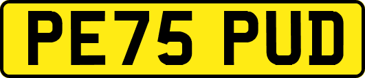 PE75PUD