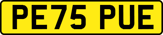 PE75PUE