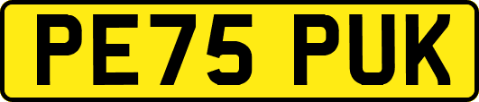 PE75PUK