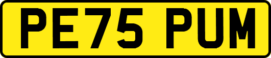 PE75PUM