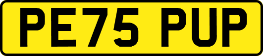 PE75PUP