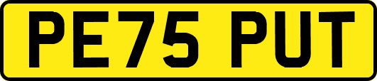 PE75PUT