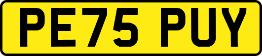 PE75PUY