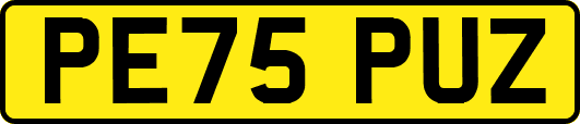 PE75PUZ