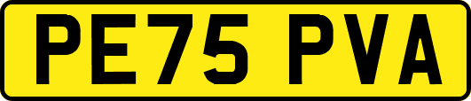 PE75PVA
