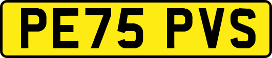 PE75PVS