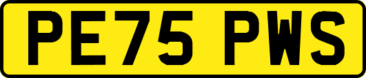 PE75PWS