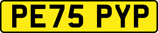 PE75PYP