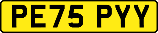 PE75PYY