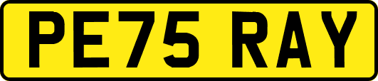 PE75RAY