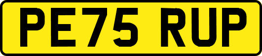 PE75RUP