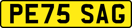 PE75SAG
