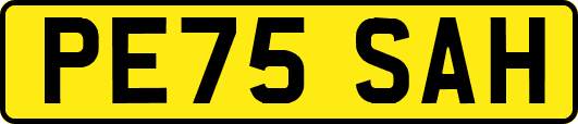 PE75SAH
