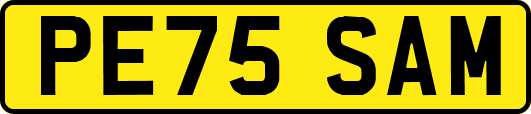 PE75SAM